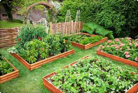 48 Vegetable Garden Wallpaper