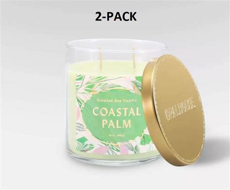 2 Pack Opalhouse 151oz Lidded Glass Jar 2 Wick Candle Coastal Palm 054 09 7125 Garland Home