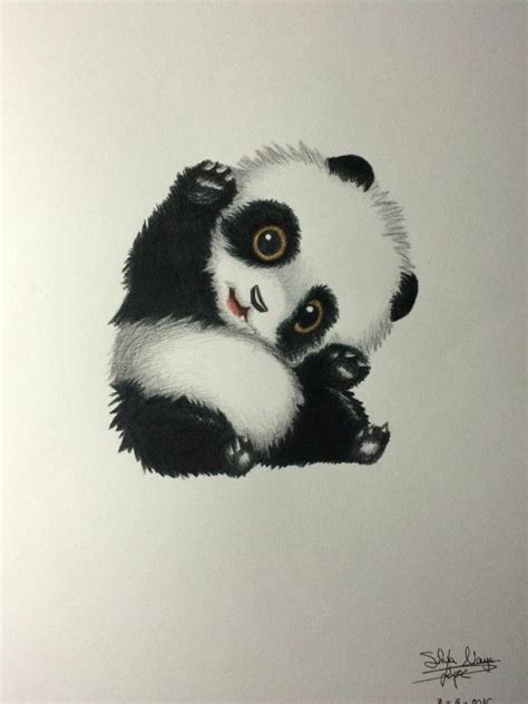 Panda Bear Quarto Panda Bear Art Panda Art Cute Panda Drawing