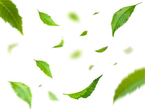 Green Floating Leaves Flying Leaves Green Leaf Dancing Air Purifier