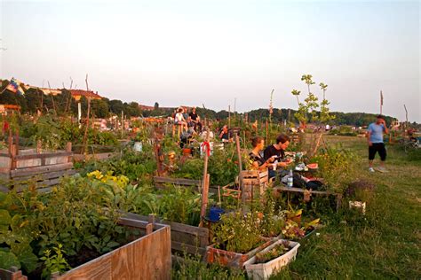 Urban Gardening Berlin Jutta Riegel Reportage Lifestyle And Travel