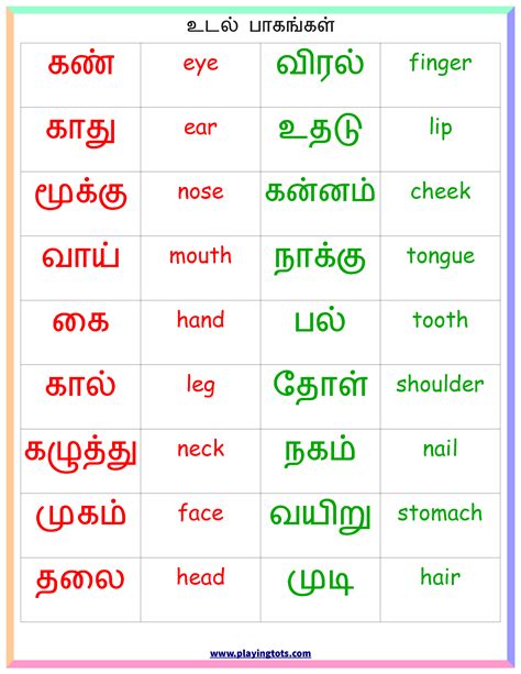 Pin On Tamil Worksheets And Learnings