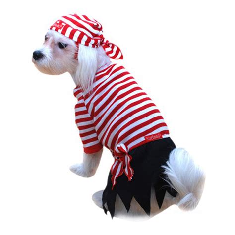 Pirate Halloween Dog Costume Baxterboo