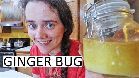 How To Make A Ginger Bug Starter Culture For Naturally Carbonated