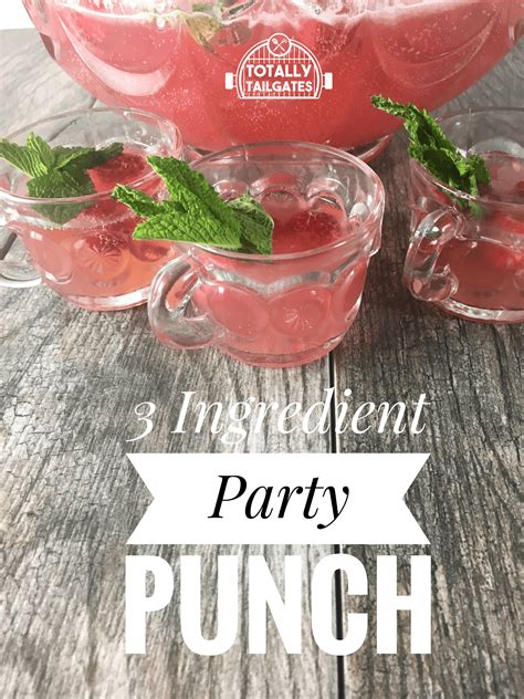 3 Ingredient Party Punch Totally Tailgates