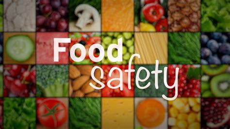 Food Safety Along The Food Chain Explained Garden Route District