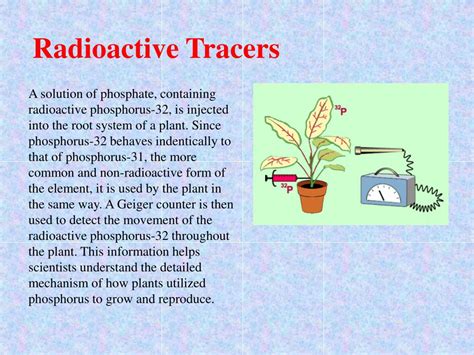 Ppt The Uses Of Radioisotopes Powerpoint Presentation Free Download