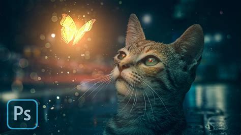 Cat Butterfly Manipulation Photoshop Tutorial İzle