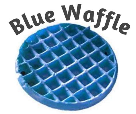 Blue Waffles Public Health