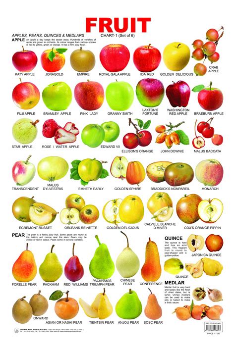 Food Vocabulary English Vocabulary English Tips Learn English Fruit