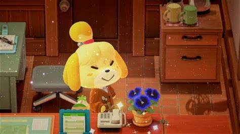 Animal Crossing New Leaf Ost 12 Am Youtube