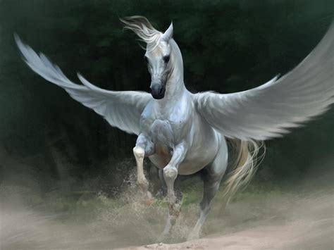 White Pegasus Storm Wings Flying Horse Giant Wall Poster Art Print L010