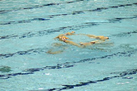 Synchronized Swimming Montreal November 2009 288 Flickr