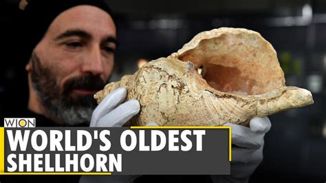 Scientists Test Worlds Oldest Conch Shell Horn In France France News