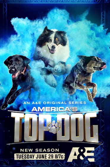 Americas Top Dog Television Mgm Studios