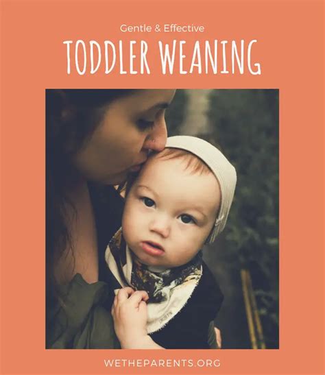 How To Wean A Toddler Gently And Effectively Wetheparents