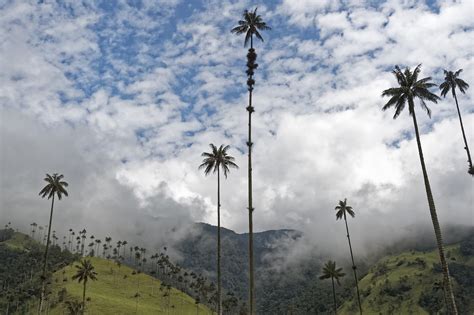 6 Amazing Landscapes In Colombia Discover Your South America Blog