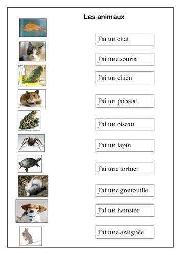 Image Result For Teach French Starter Animals Teaching French