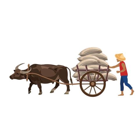 Best Bullock Cart Illustrations Royalty Free Vector Graphics And Clip