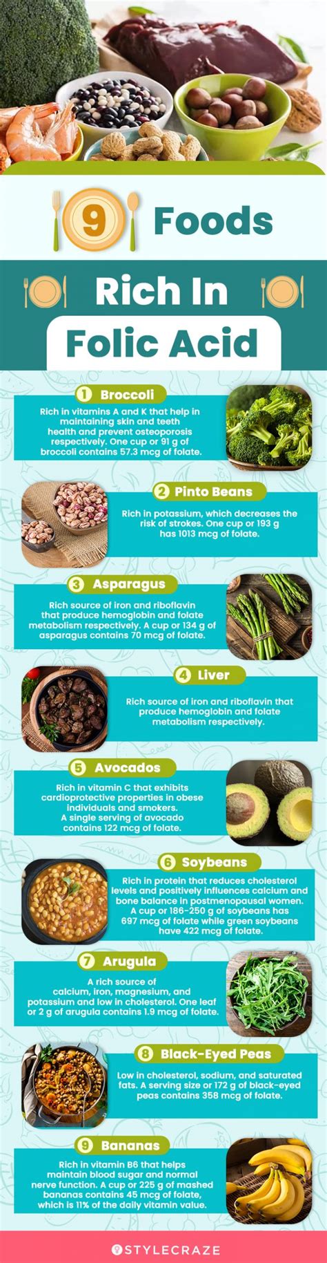 Top 25 Foods High In Folic Acid To Include In Your Diet Life Styles Zone
