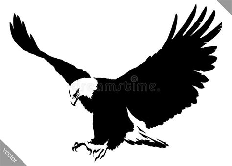 Bald Eagle Landing Hand Draw On White Background Vector Stock Vector