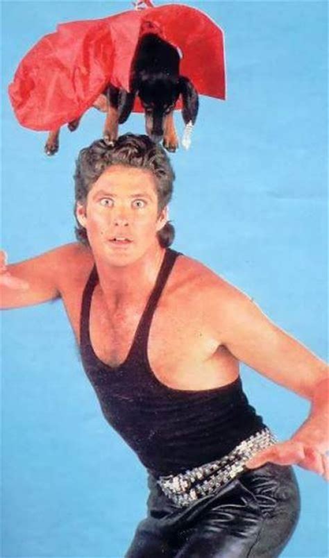 Just David Hasselhoff With Some Puppies Vintage Everyday Celebrity