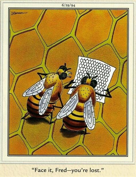 Bee Humor Gary Larson Bee Art Bee Bee Humor