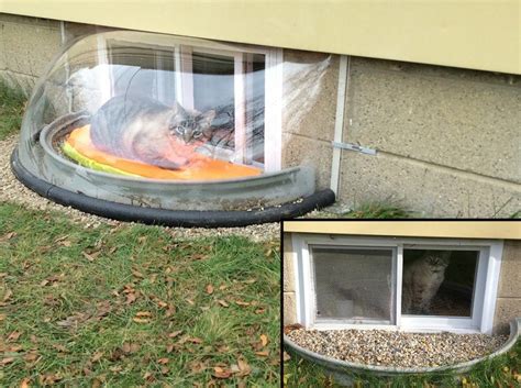 Apr 20, 2011 · well, this explains everything. Basement: Basement Window Well Covers Diy With Wood Box ...
