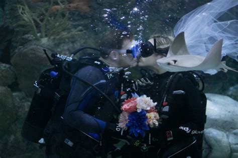 Couple Says I Do In Underwater Wedding Celebration At Audubon