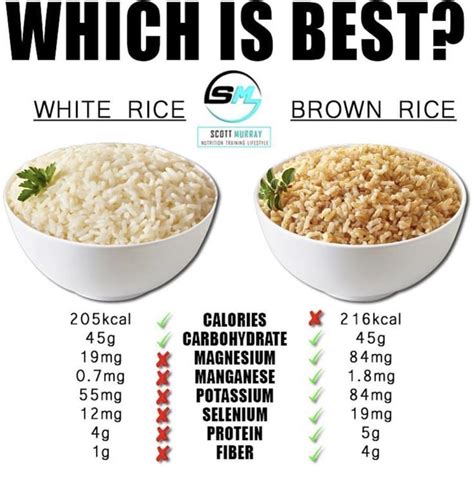 difference between white and brown rice mocksure
