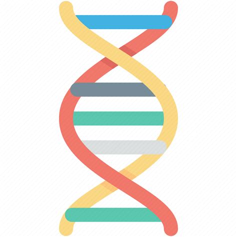 Dna Dna Chain Dna Helix Dna Strand Genetics Icon Download On