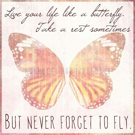 Live Your Life Like A Butterfly Wisdom Quotes Words Quotes Quotes To