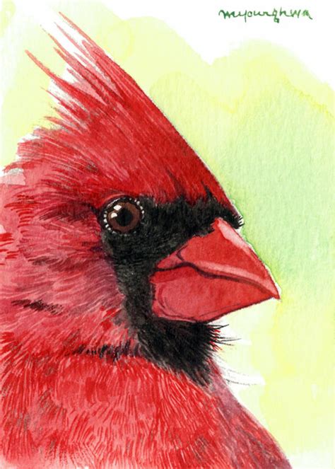 Bird Painting Acrylic Bird Watercolor Paintings Painting Canvases