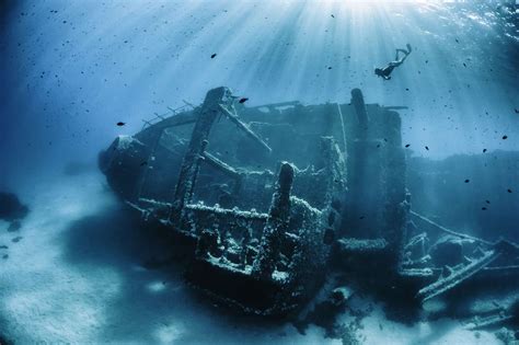 Do Shipwrecks Help Or Harm Marine Life