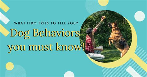 What Fido Tries To Tell You 100 Dog Behaviors You Must Know