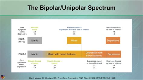 bipolar i vs bipolar ii vs unipolar depression youtube