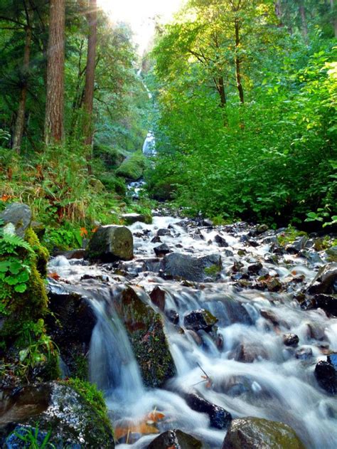 These 13 Hidden Waterfalls In Oregon Will Take Your Breath Away