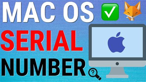 How To Find Your Macs Serial Number Mac Macbook Youtube