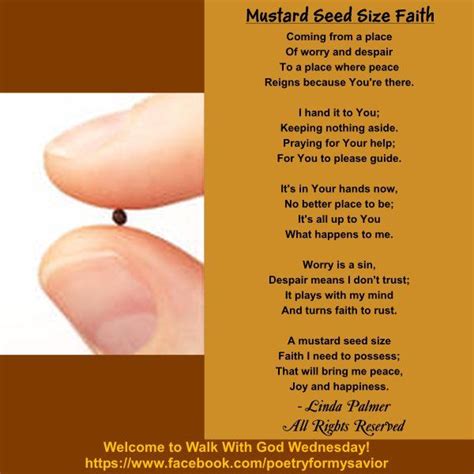 Mustard Seed Size Faith Mustard Seed Faith Mustard Seed Faith