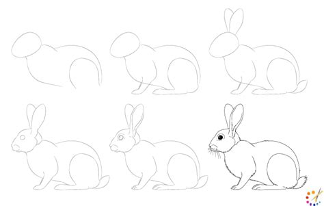 How To Draw Rabbit Step By Step For Kids And Beginners
