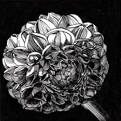 Small Beauties Pen And Ink Drawing On Behance