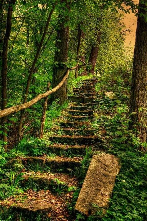 Forest Path Iphone Wallpaper Kolpaper Awesome Free Hd Wallpapers