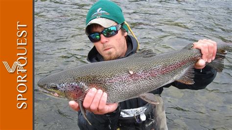 Alaska Fly Fishing Rainbow Trout 1080p Hd Top Rated