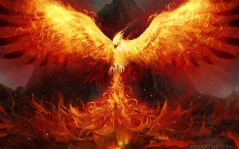 Phoenix Rising Mythological Creatures Mythical Creatures Phoenix Art