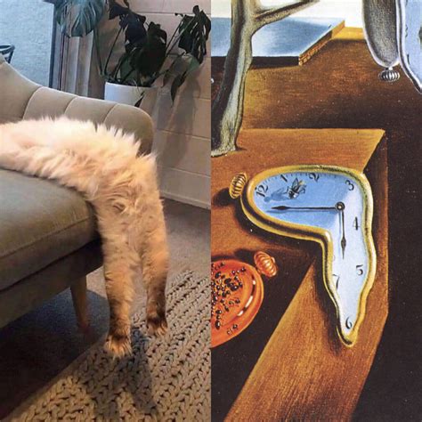 Cats Attempt At The The Persistence Of Memory By Salvador Dalí Rpics