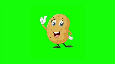 Cartoon Talking Potato 🥔 Green Screen Animation Effects Hd Video Youtube