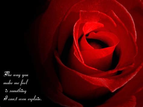Red Rose Love Quotes Quotesgram