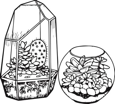 Here are free coloring pages with lampo, milady, pilou, and polpetta that you can download and print. Cactus and Succulent Printable Adult Coloring Pages