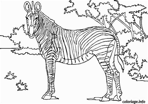 Coloriage Zebre En Savane Dessin Animaux à Imprimer