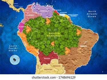 Poetas Fondo Pico Amazon Rainforest Map Mutuo Vaquero Una Efectiva